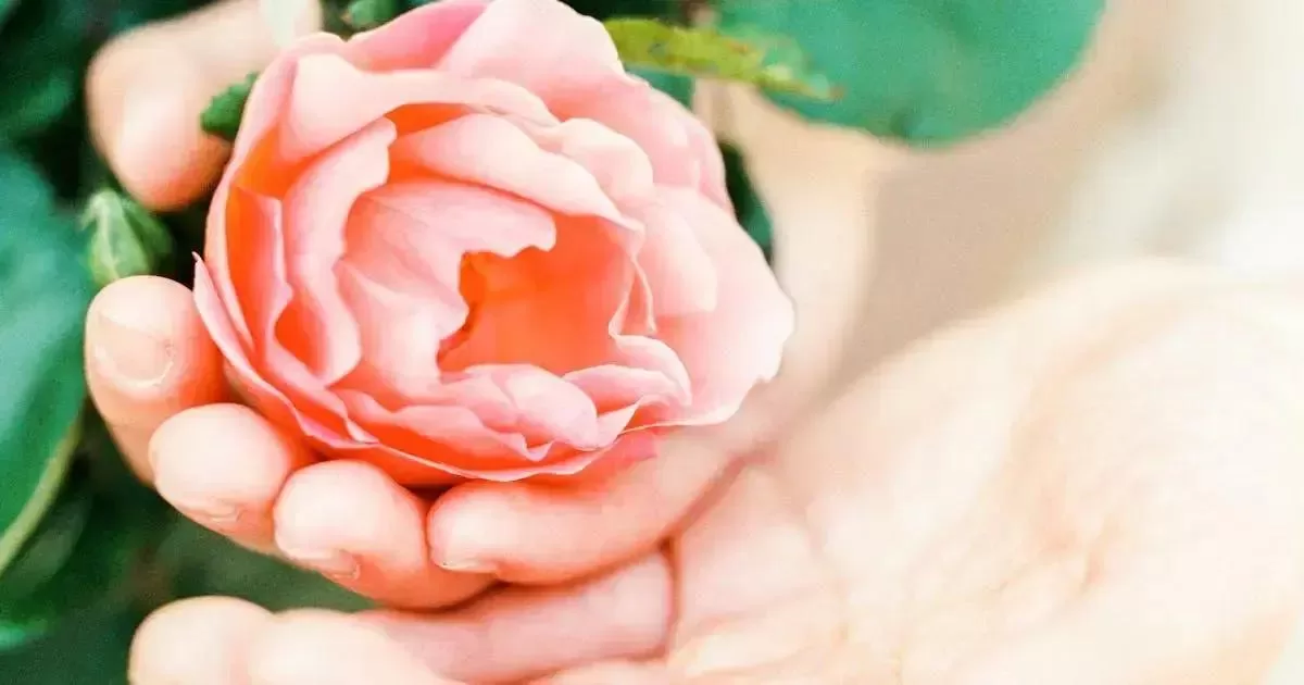 História dos perfumes florais